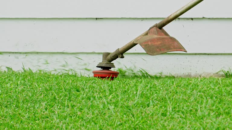 Best Lawn Watering Services  in Park City, TN